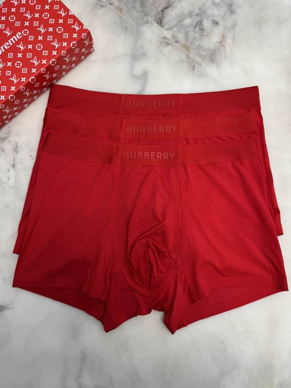 Burberry boxer L-4XL 15